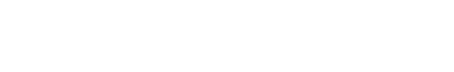 BrickRacing.com