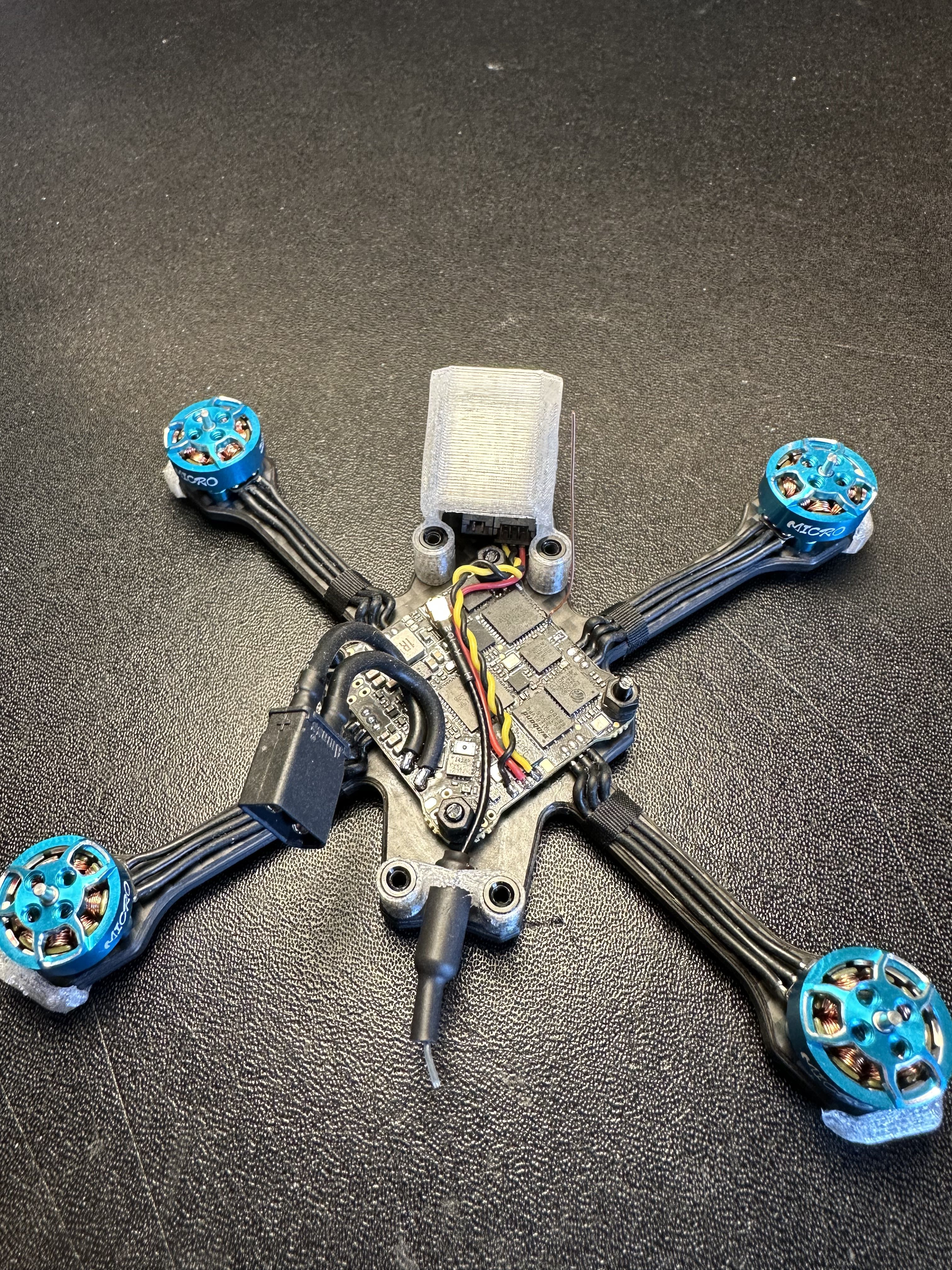 FPV Gallery Image