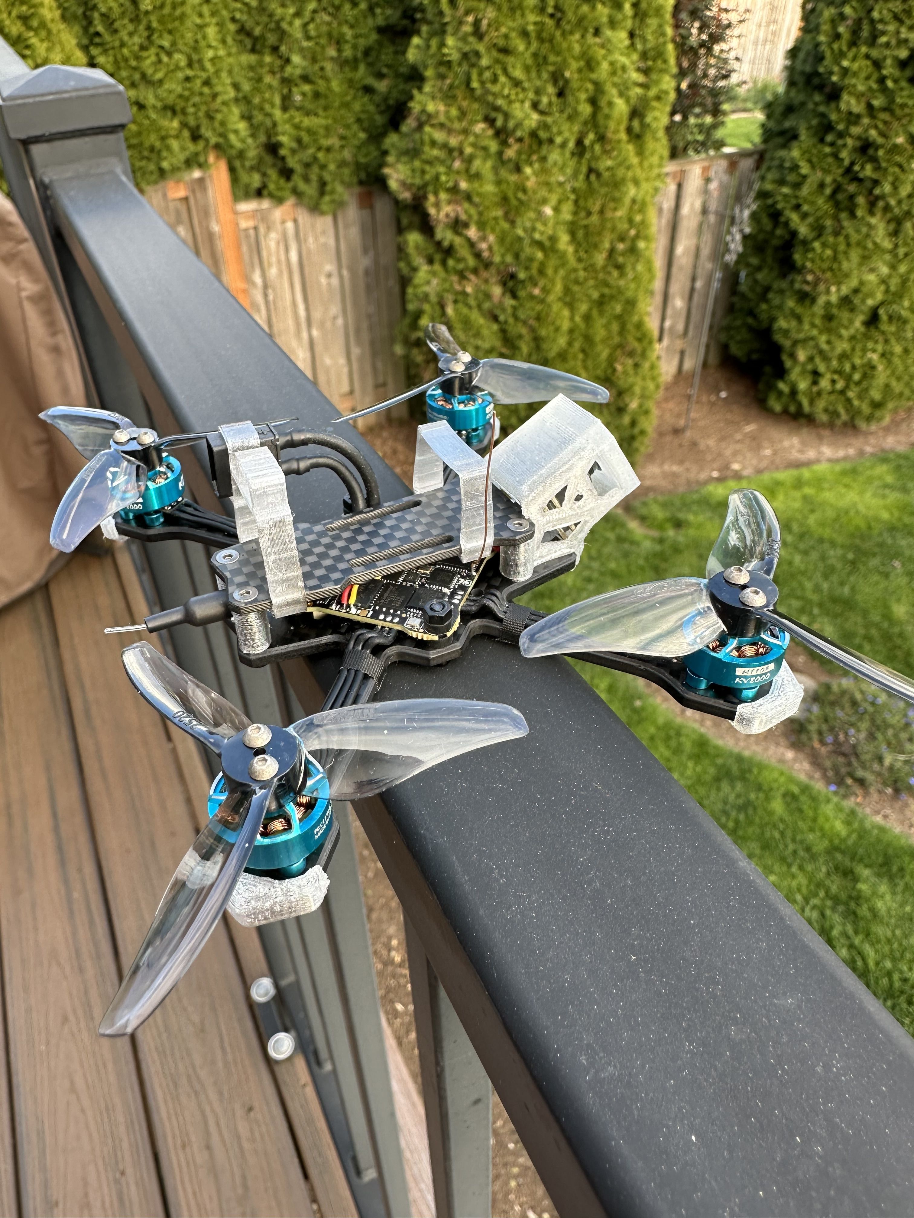 FPV Gallery Image