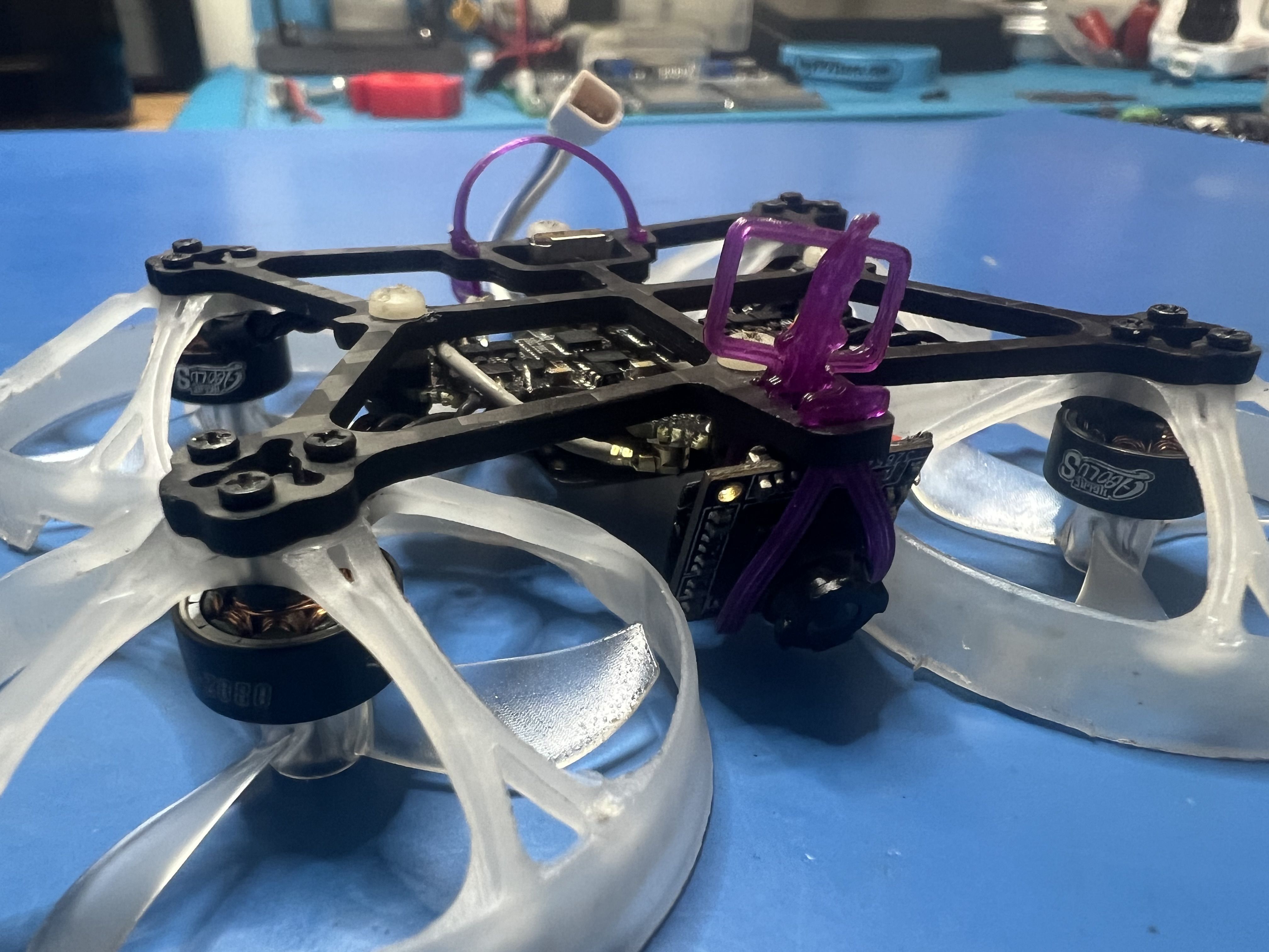 FPV Gallery Image