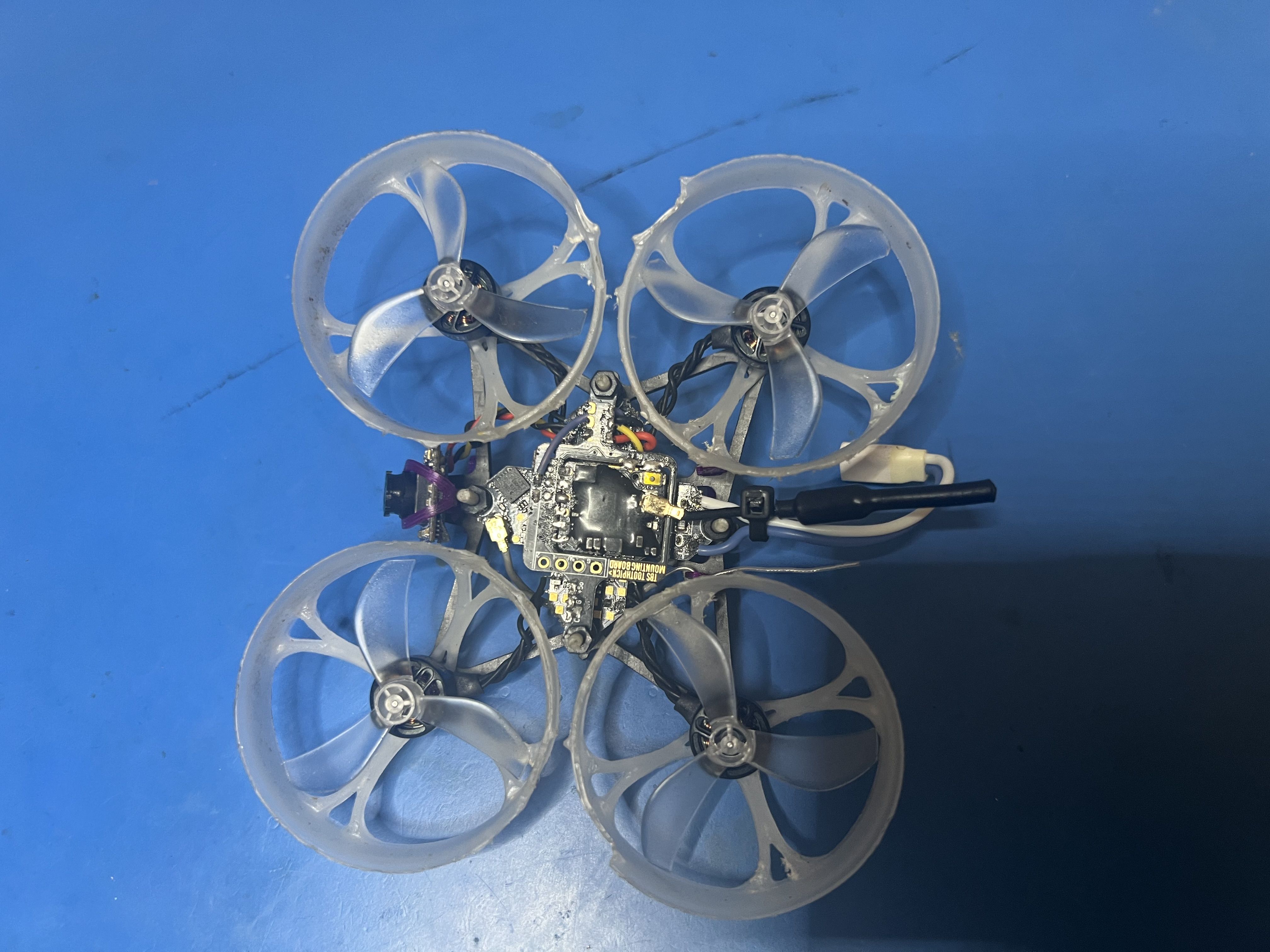 FPV Gallery Image