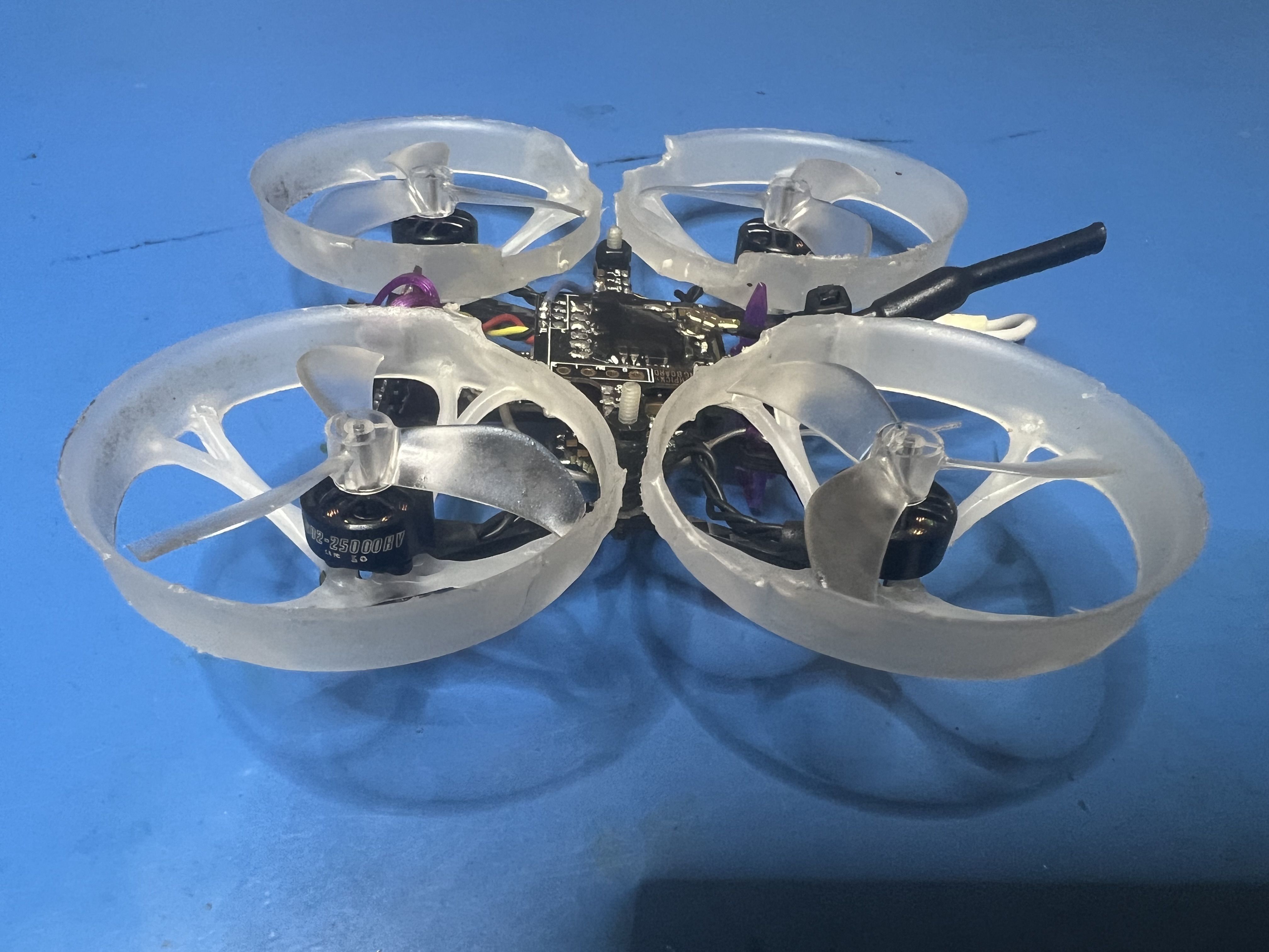 FPV Gallery Image