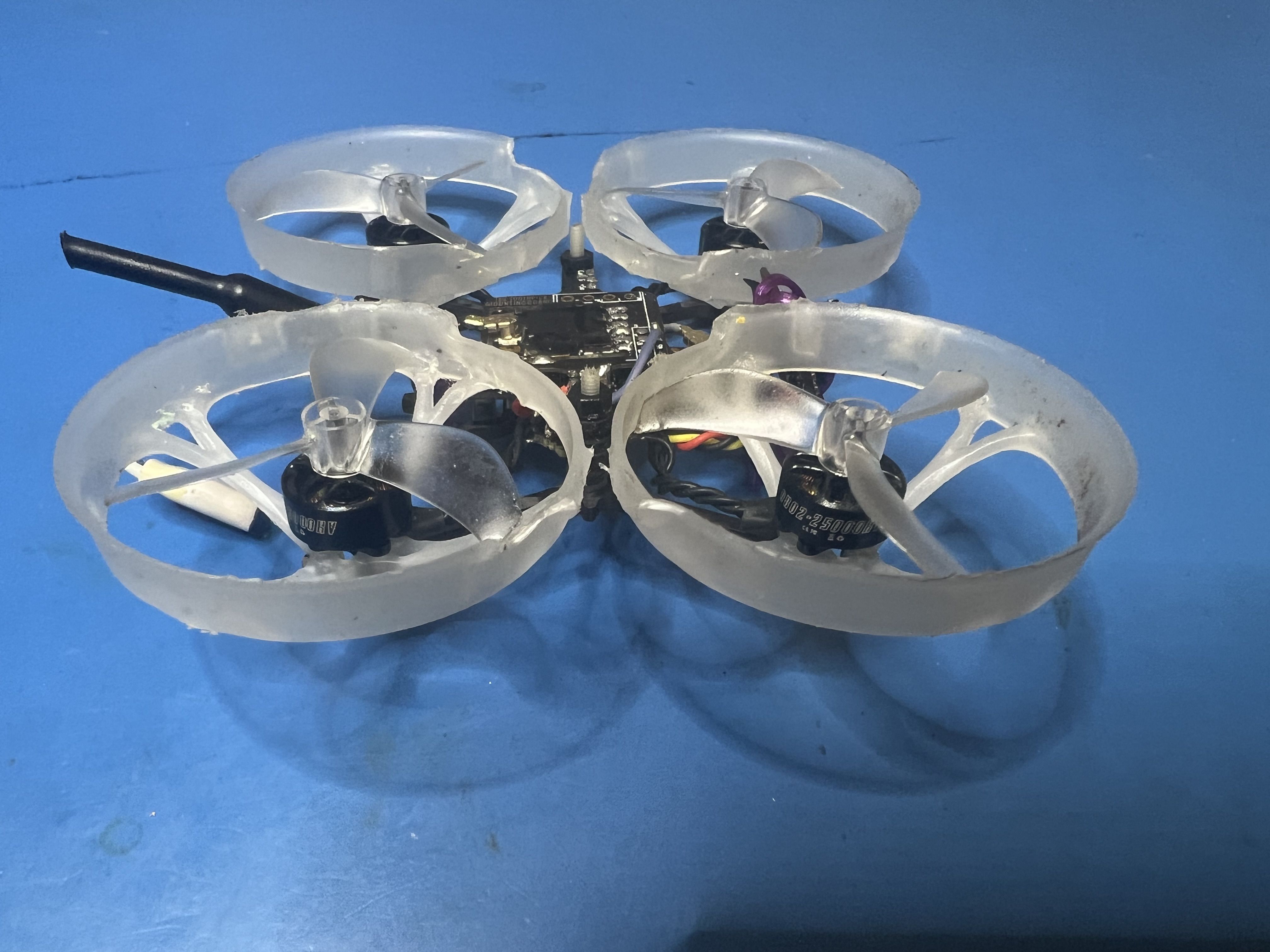 FPV Gallery Image