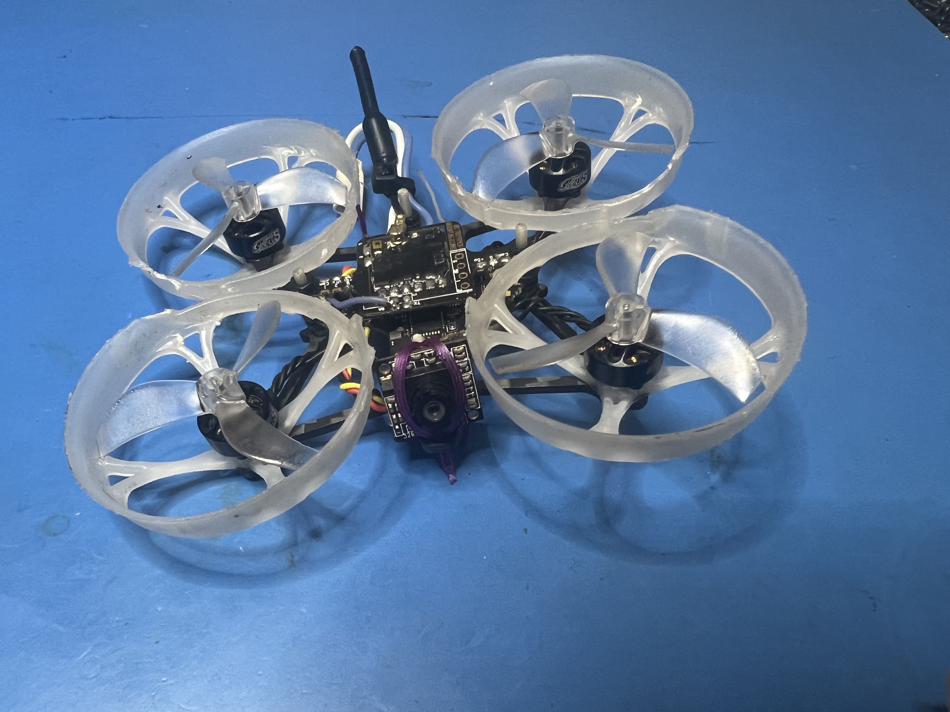 FPV Gallery Image
