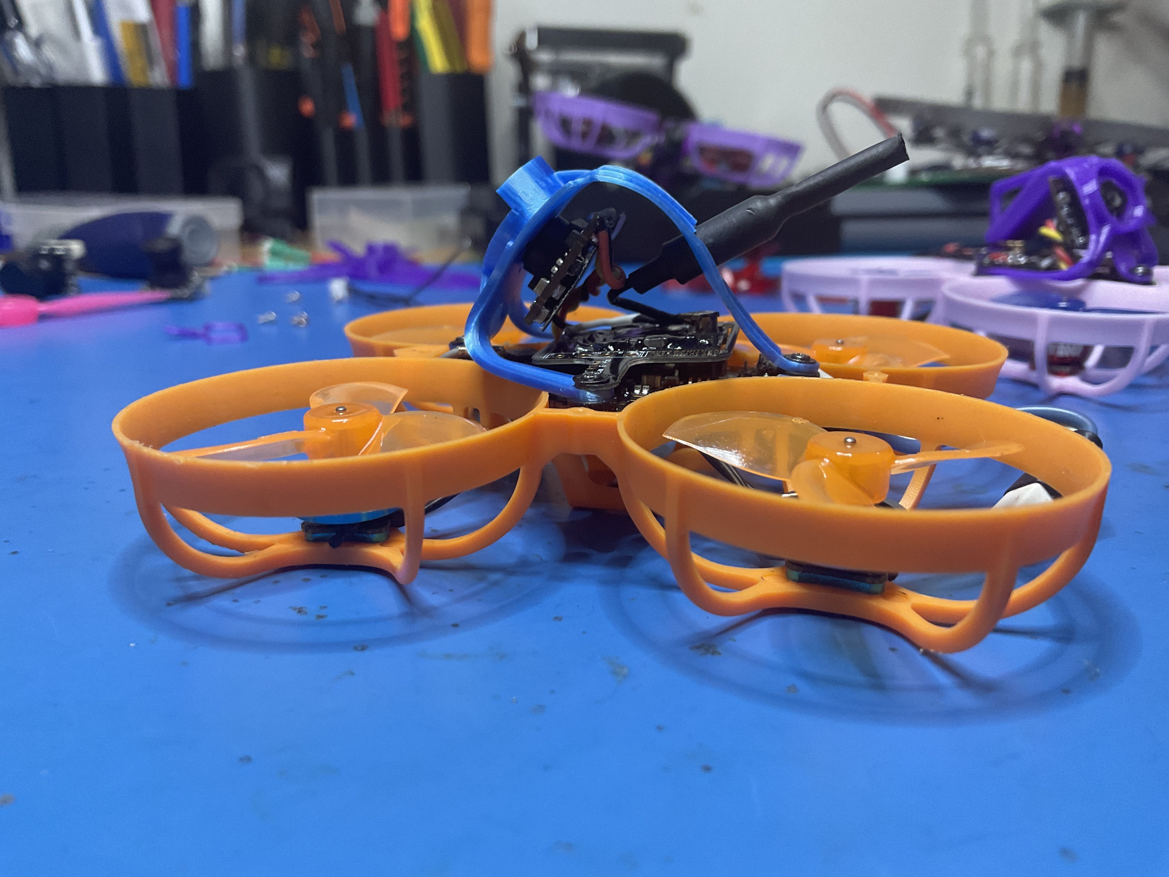 FPV Gallery Image