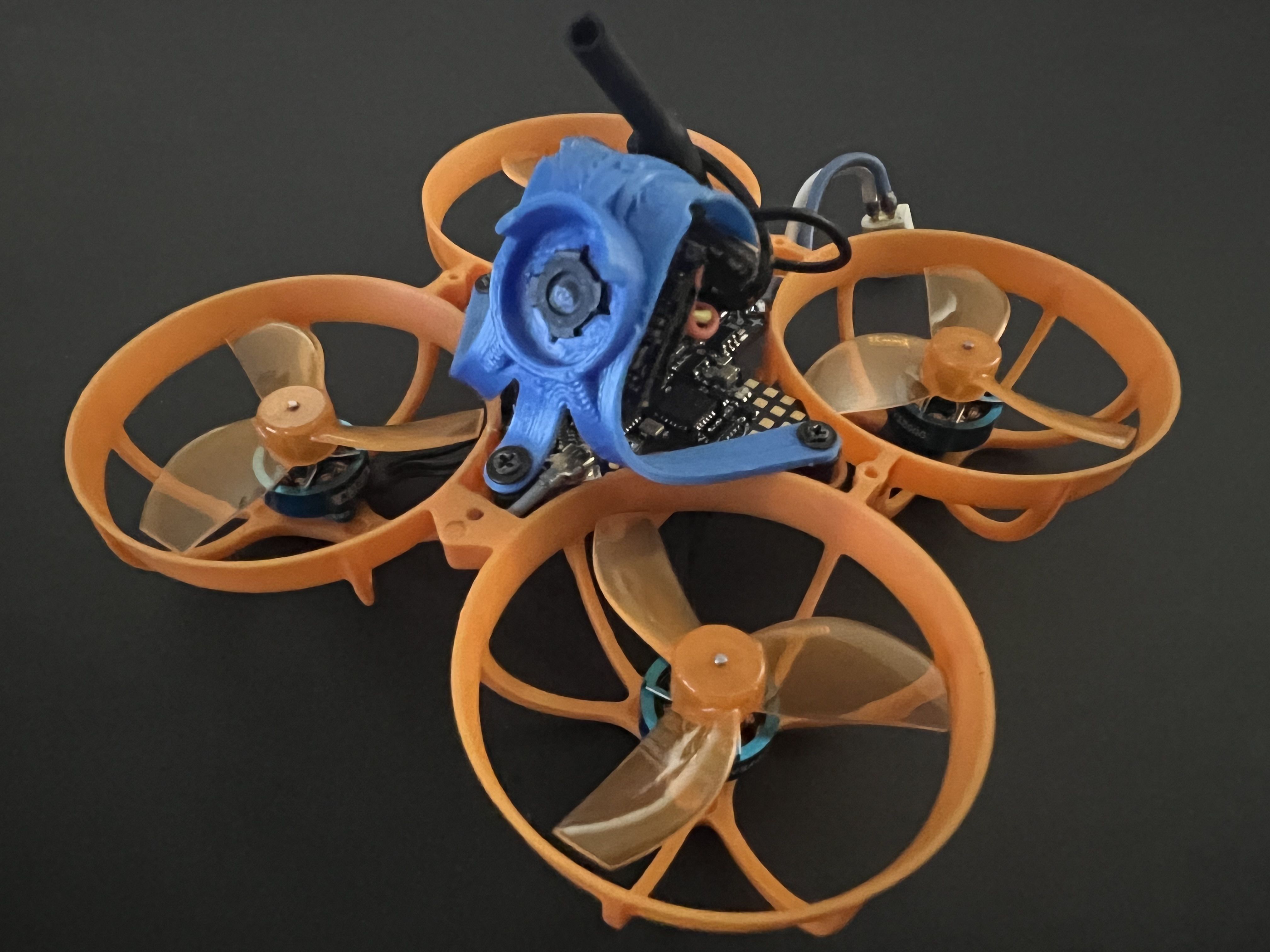 FPV Gallery Image