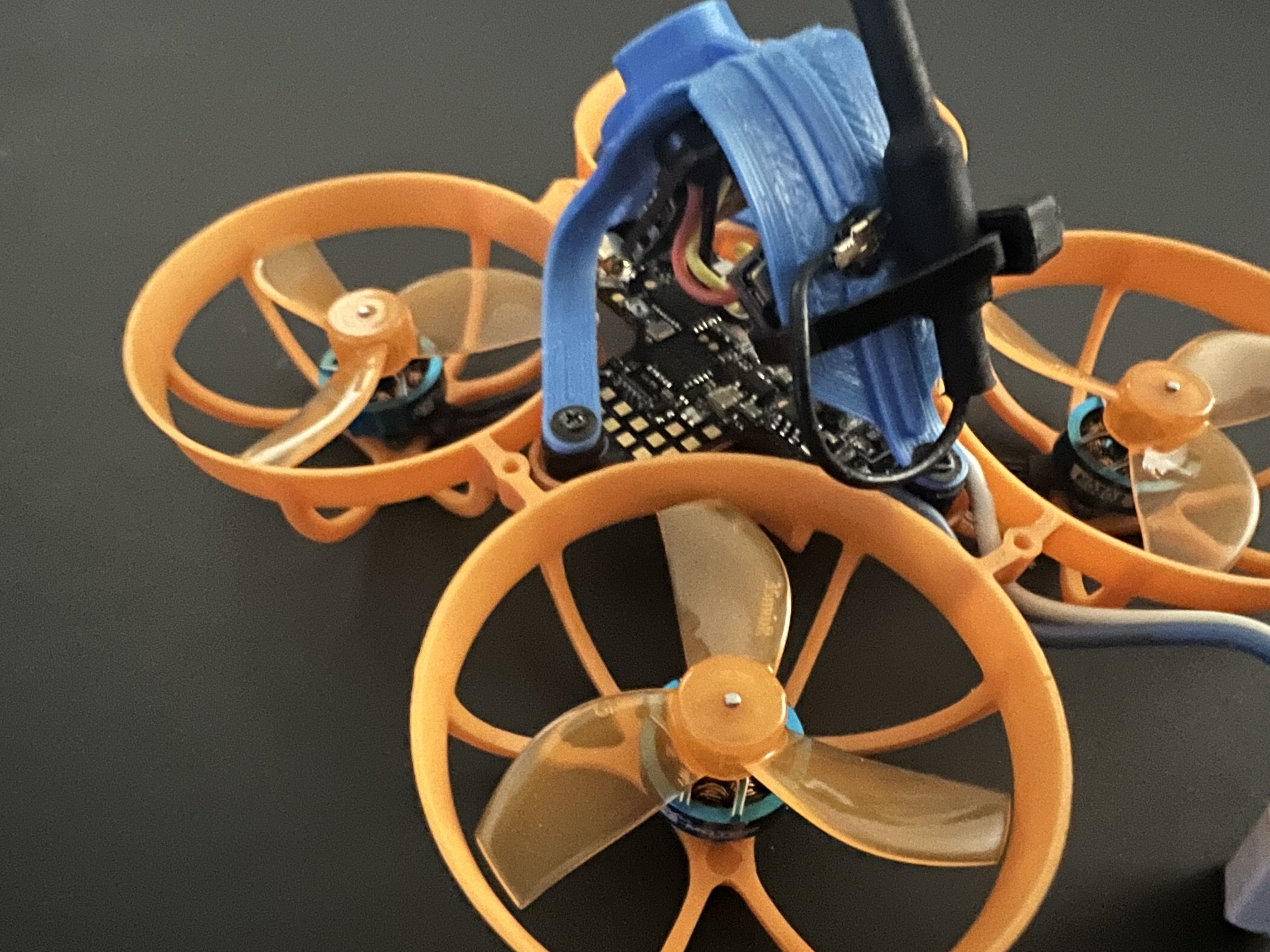 FPV Gallery Image
