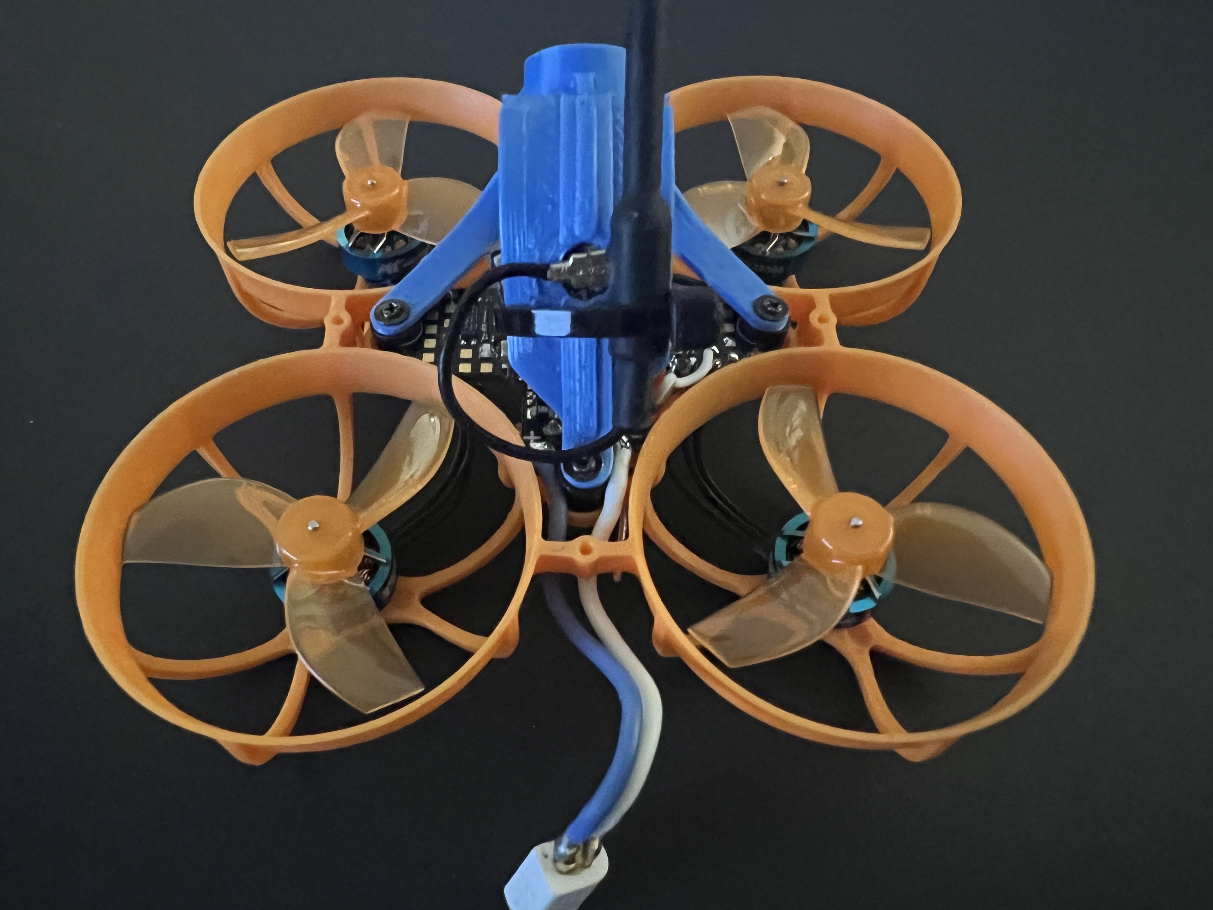 FPV Gallery Image