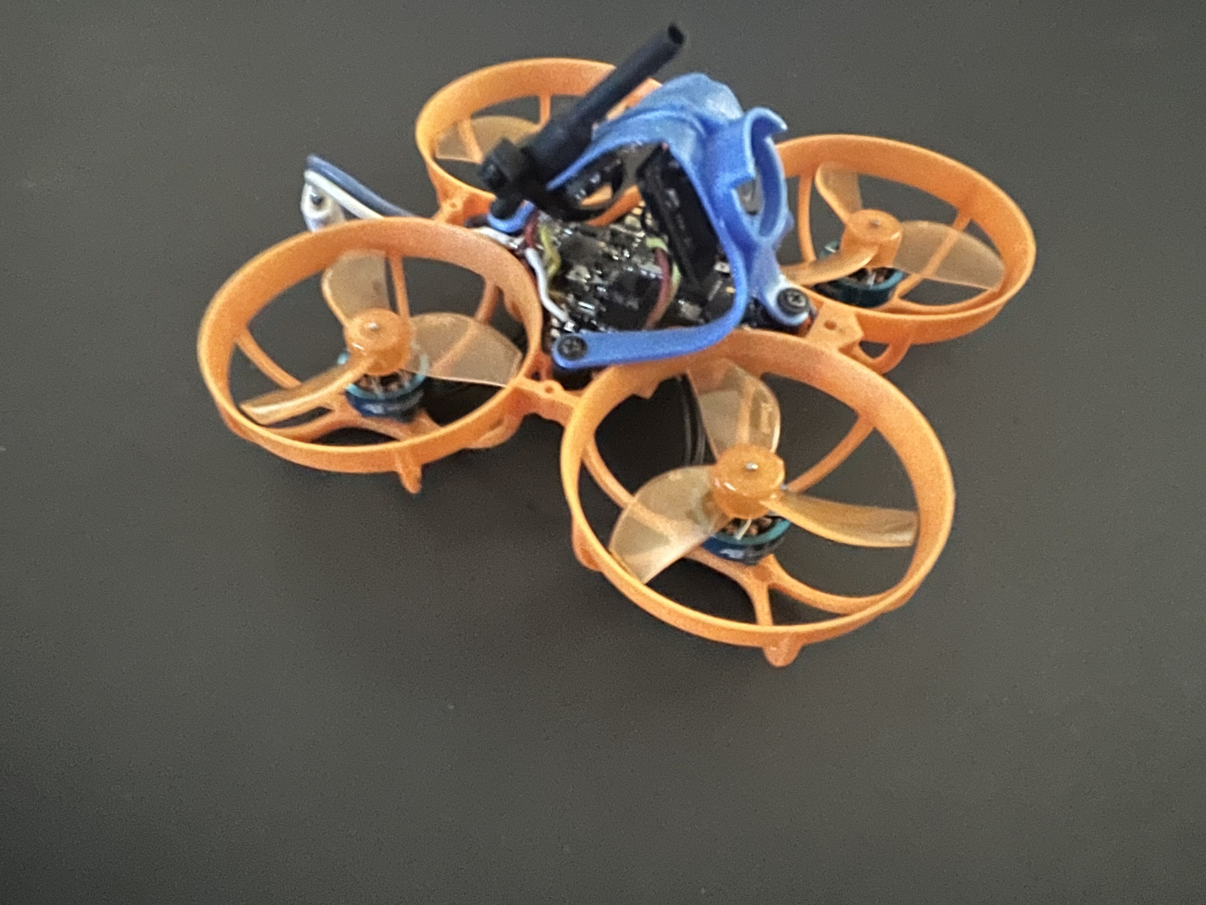 FPV Gallery Image