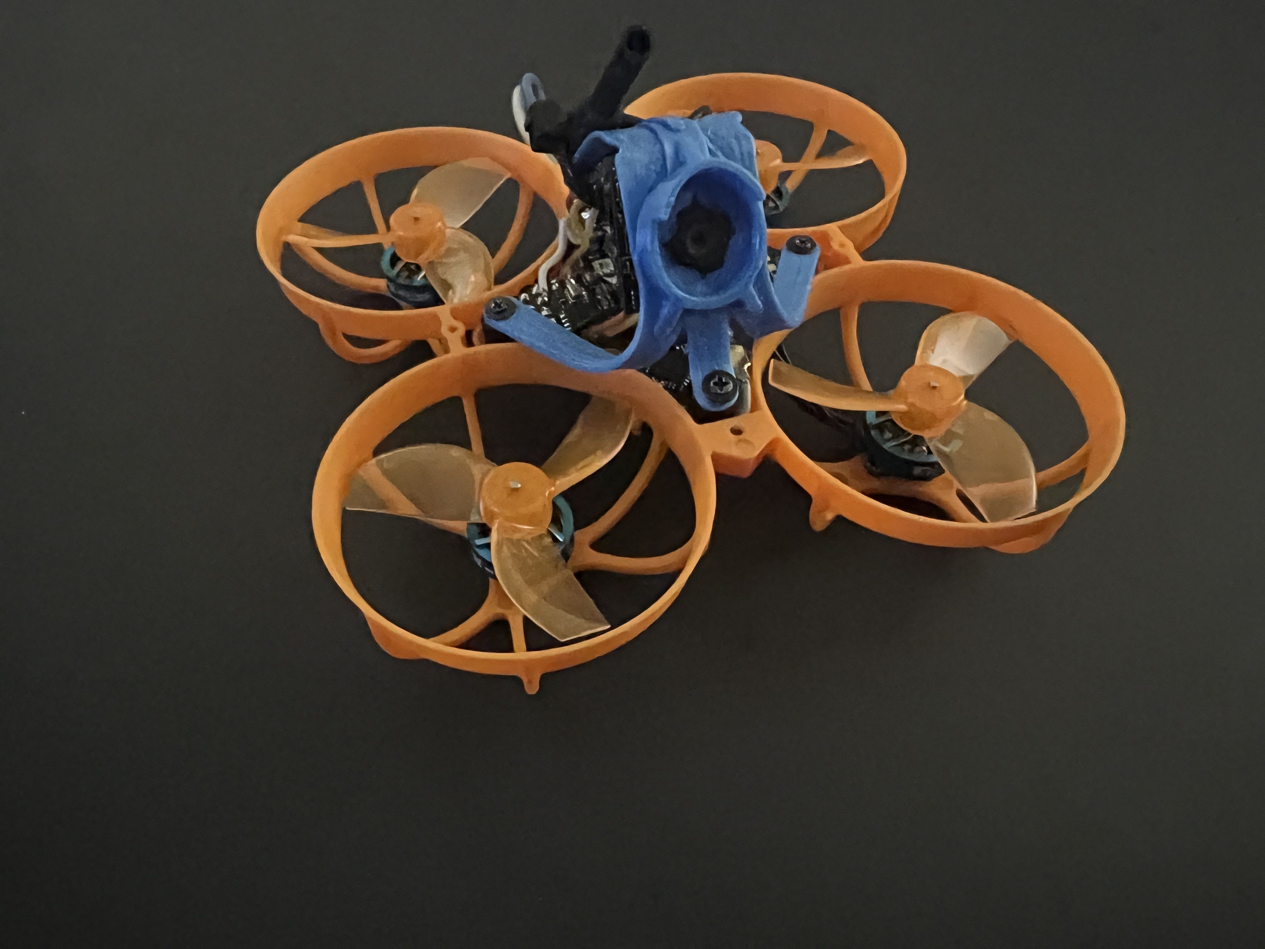 FPV Gallery Image