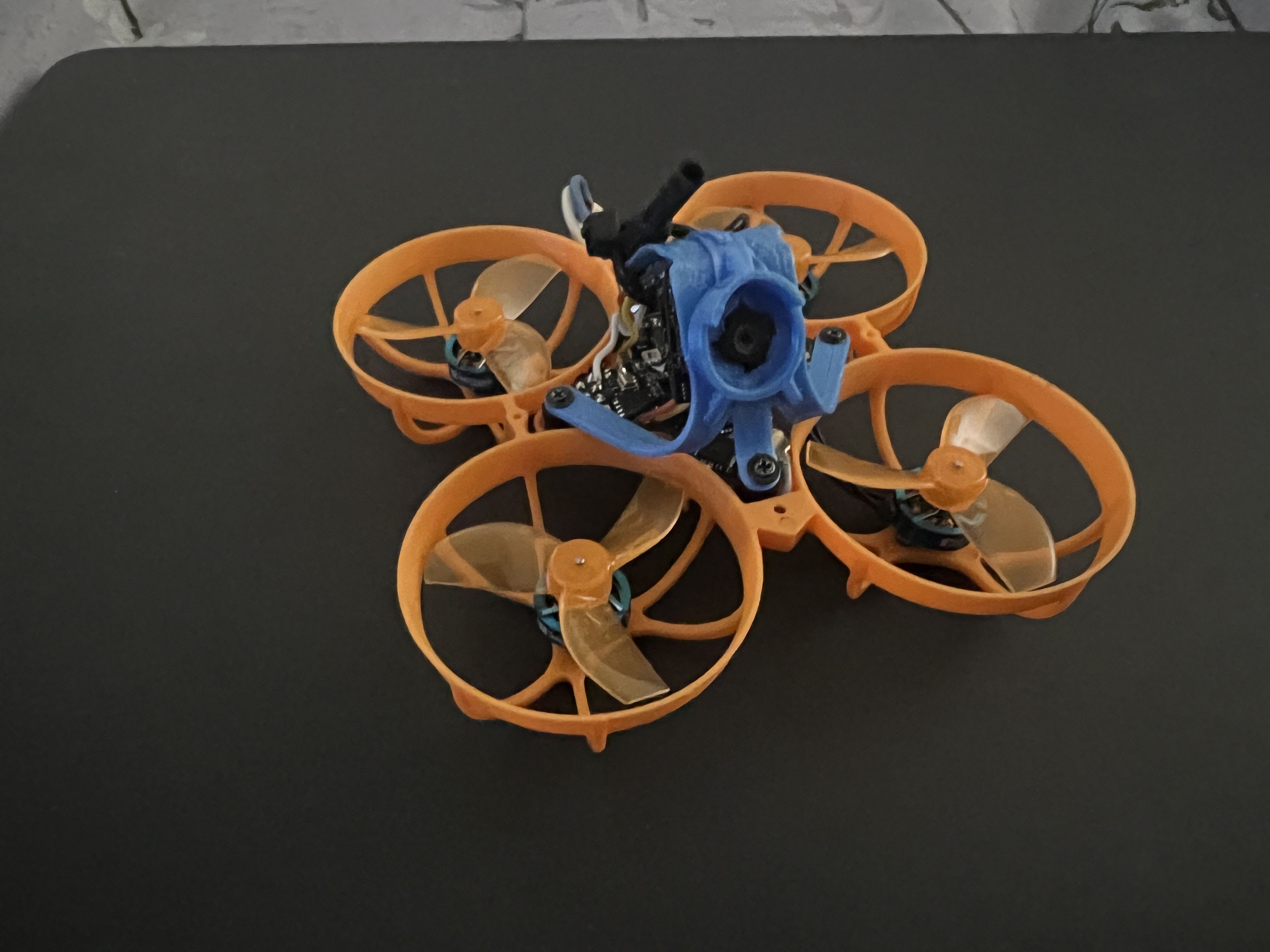 FPV Gallery Image