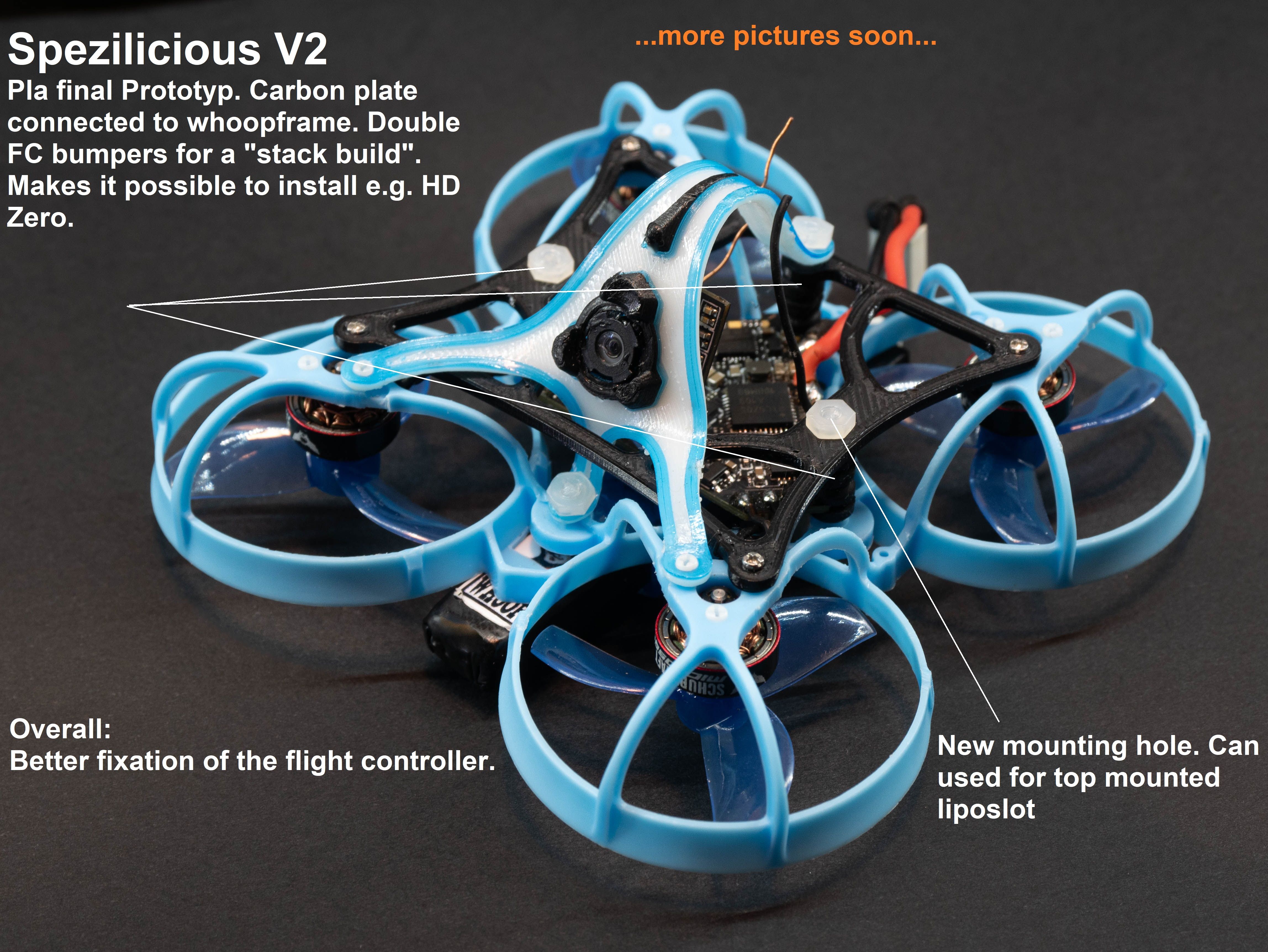 FPV Gallery Image