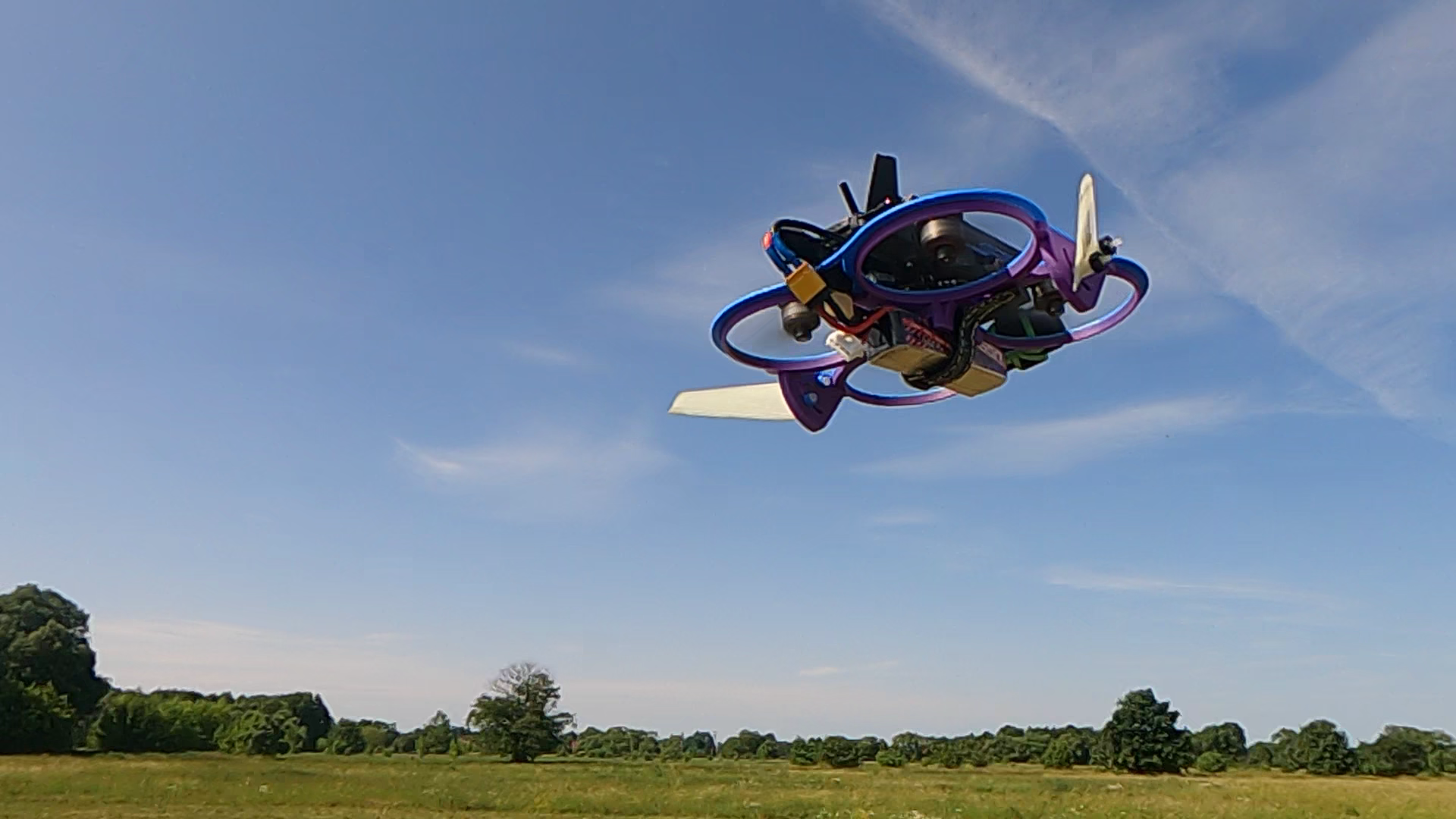FPV Gallery Image