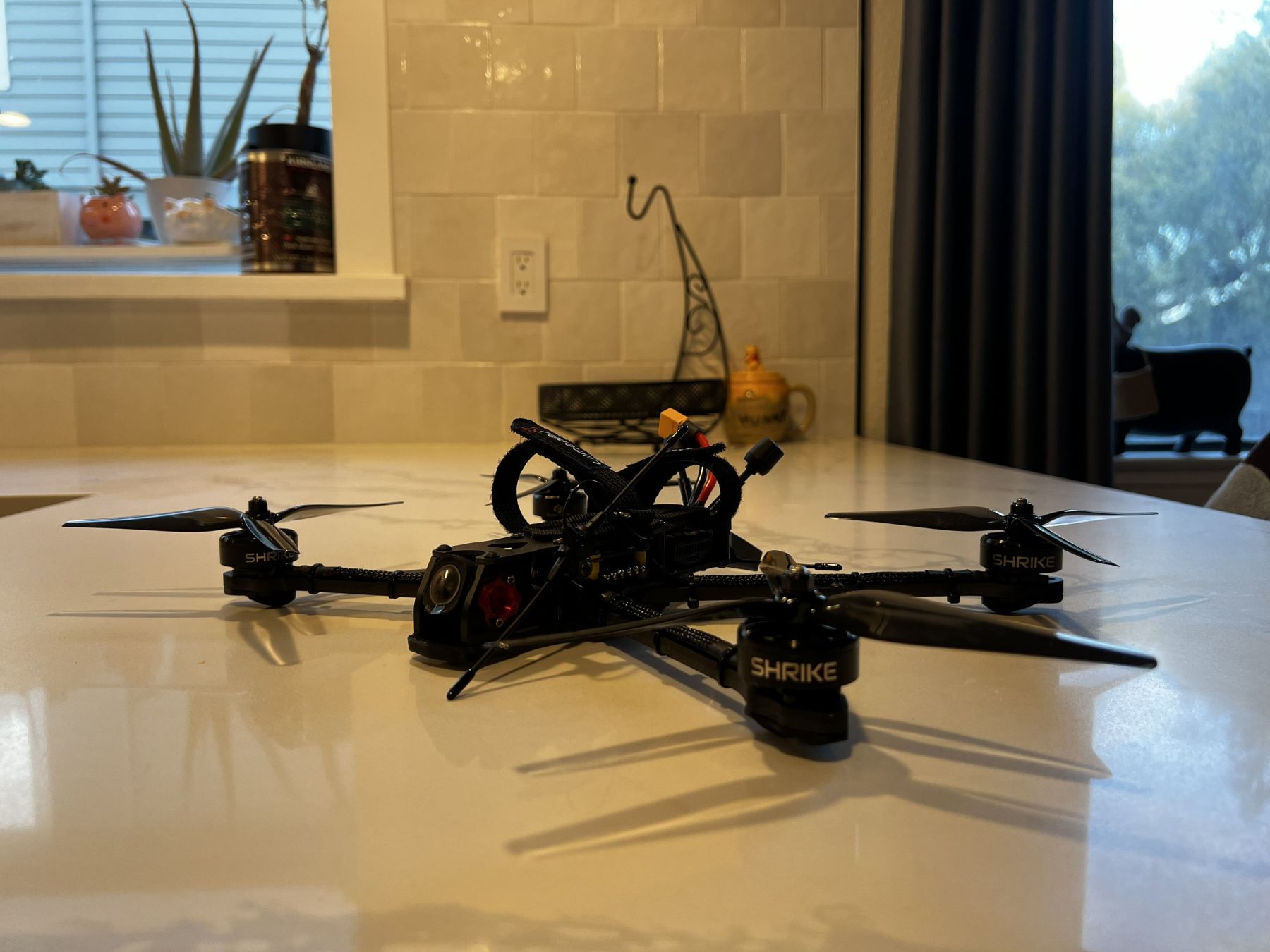 FPV Gallery Image