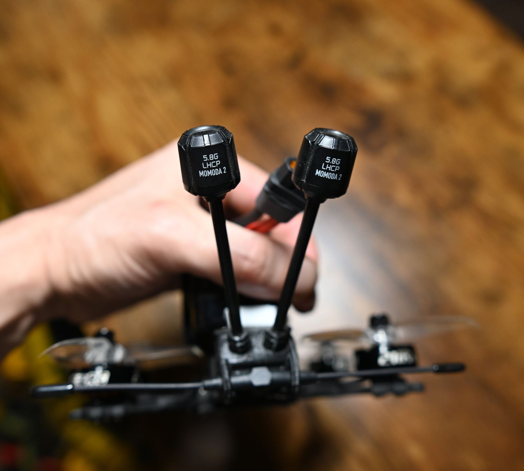 FPV Gallery Image