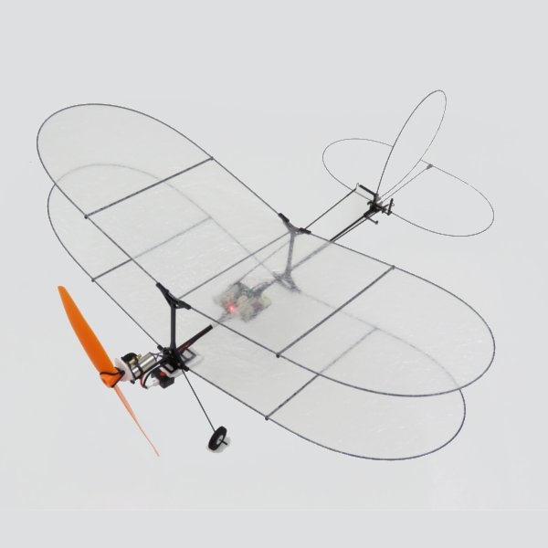 20% off for TY Model Black Flyer V2 RC Airplane